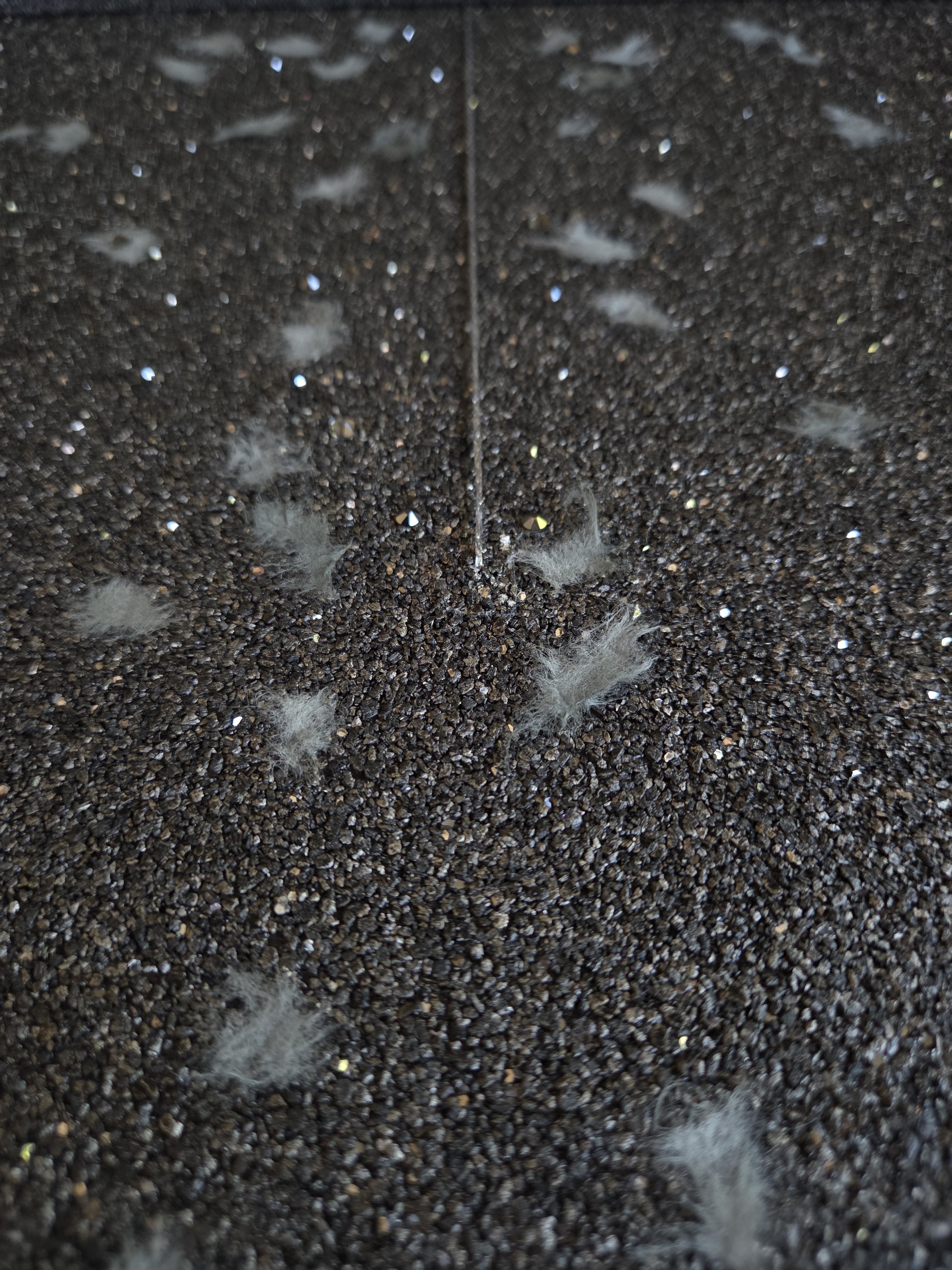 06/ 08 Dimensional Depth