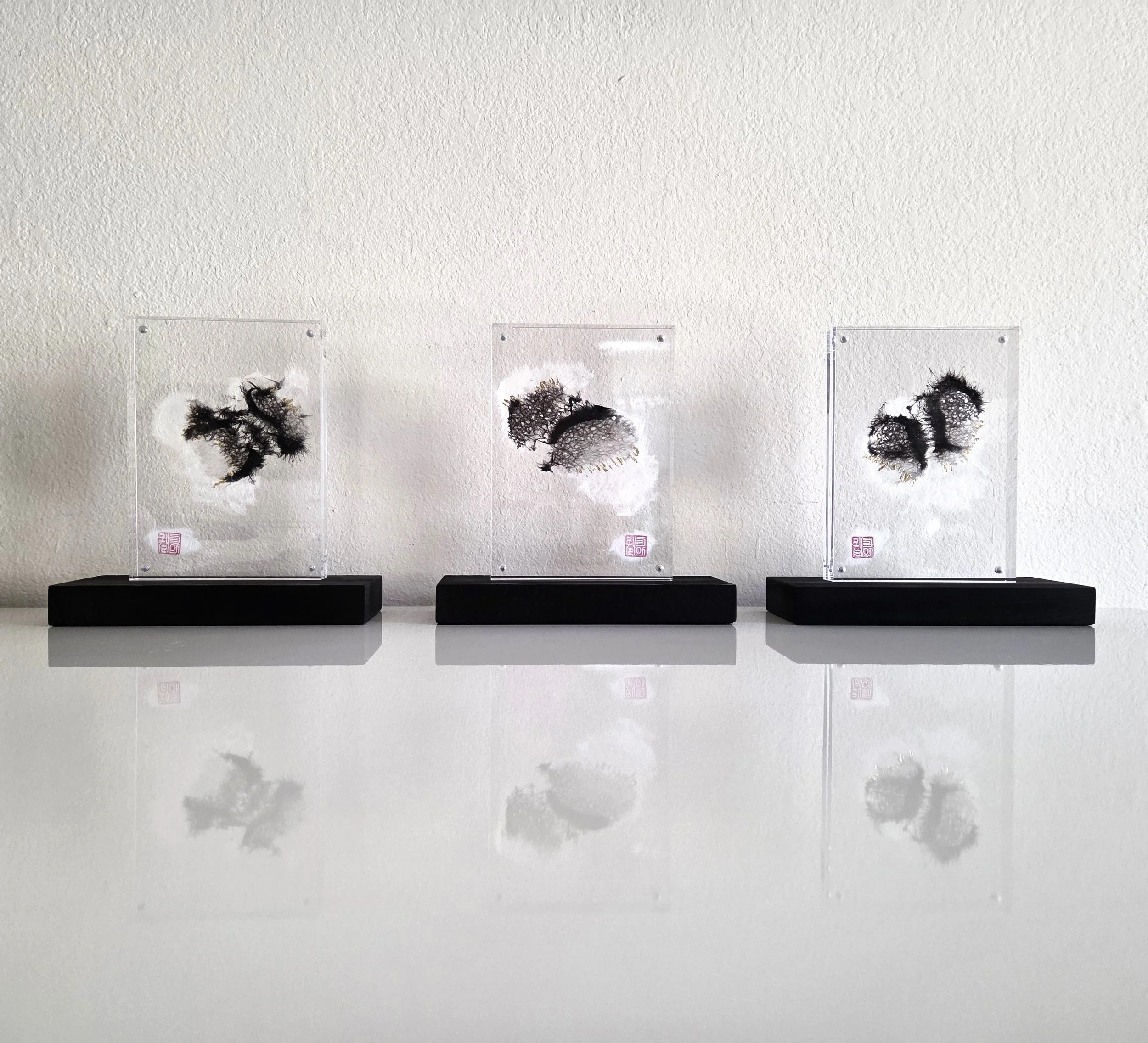 Chapter II: THE MICRO CAPSULES —The Quantum Resonances (Triptych Edition)