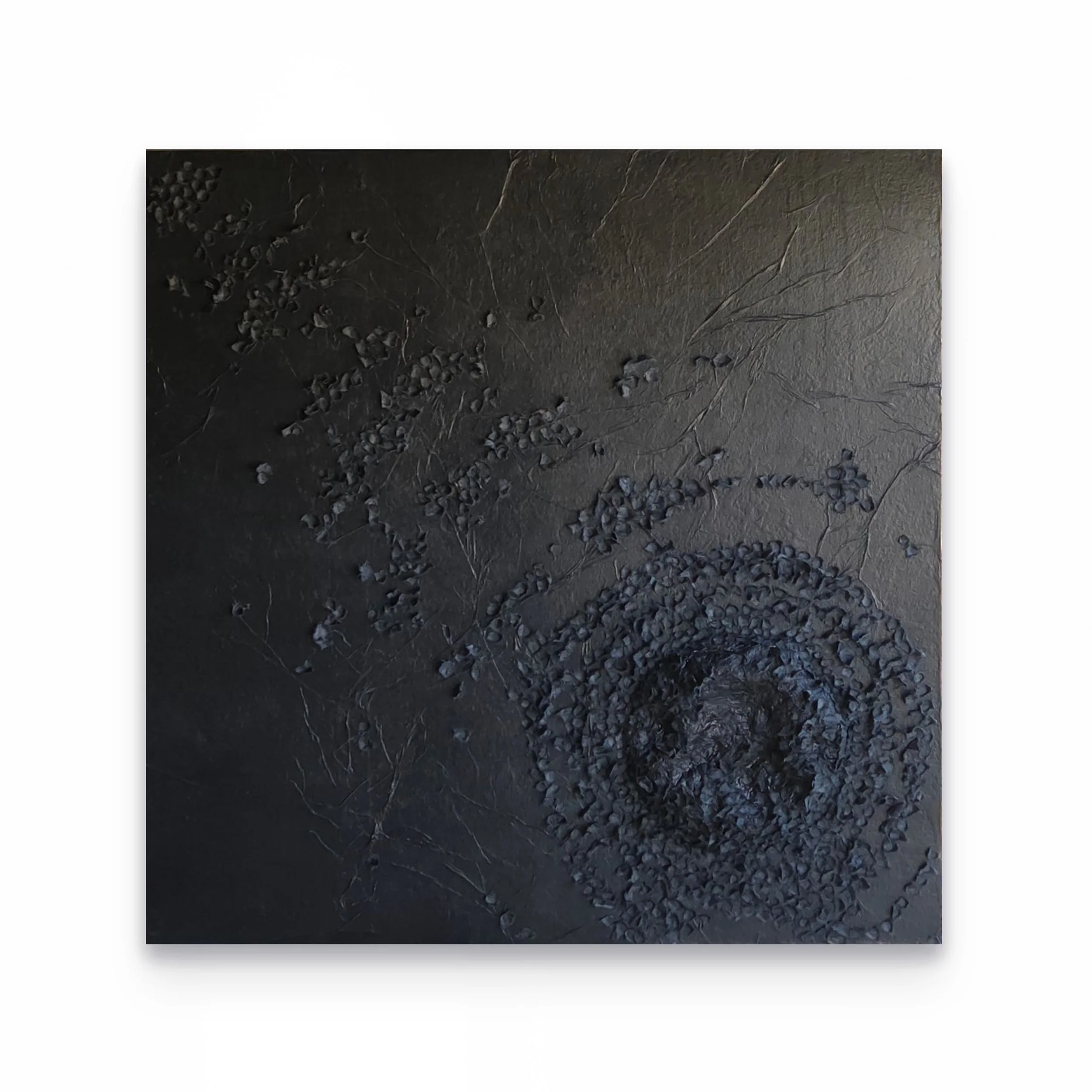 Consciousness No. 1 — Before the Name