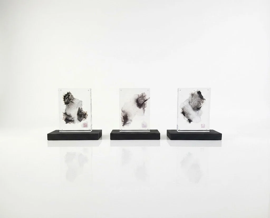 PAVILION III : The Quantum Polarity Triptych (Set of I, II & III)