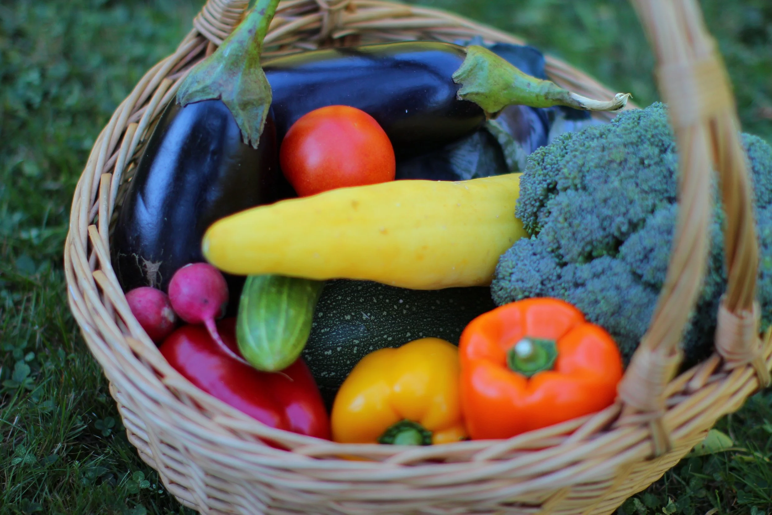 A wicker basket filled with fresh vegetables including eggplant, tomato, yellow squash, broccoli, radishes, red bell pepper, yellow bell pepper, and orange bell pepper. The basket is placed on grass.