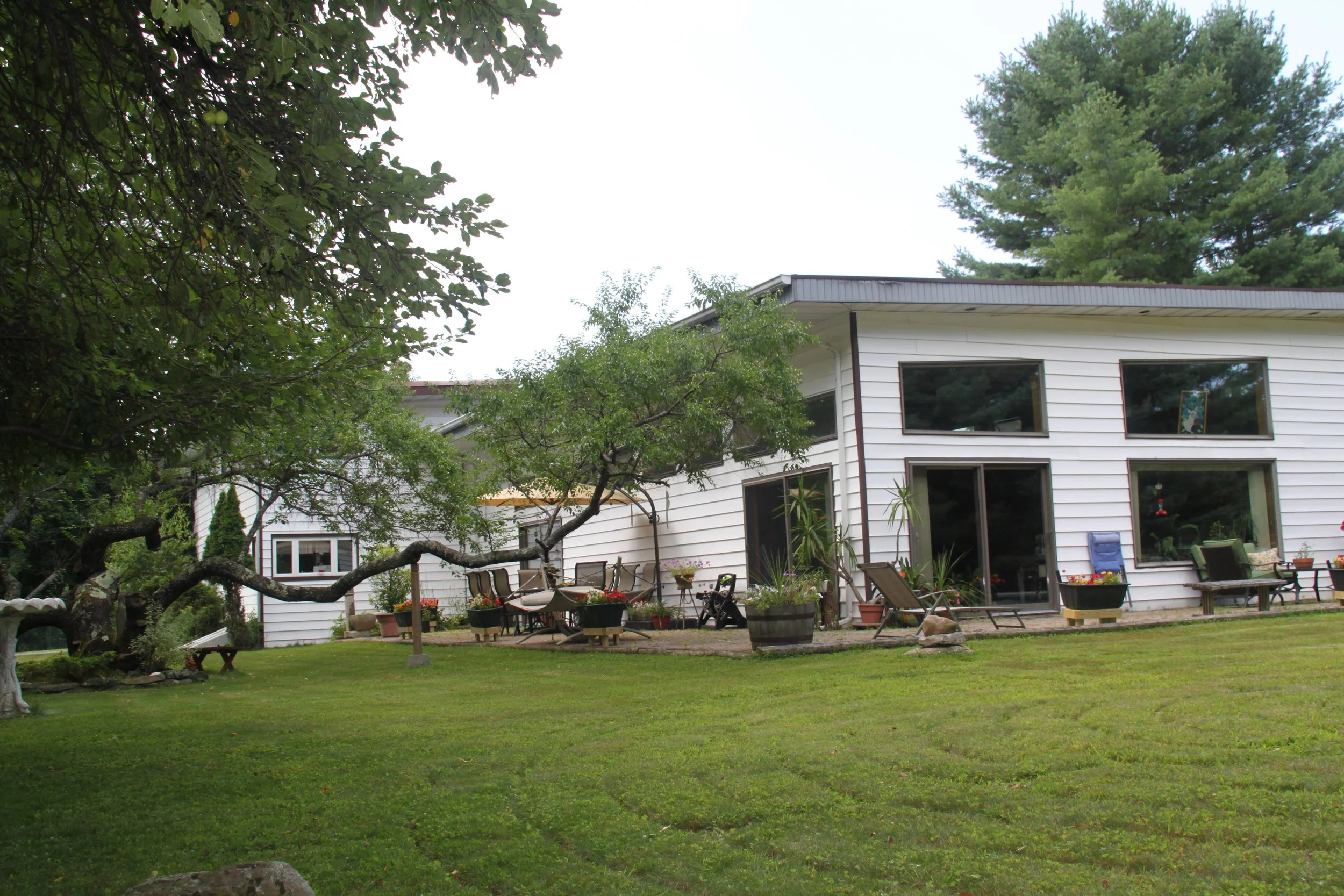 The image shows the backyard of a house with a white exterior and large windows. There is a green lawn, and the yard includes a tree with twisted branches, potted plants, and outdoor furniture like chairs and a table. The scene appears to be in a sub