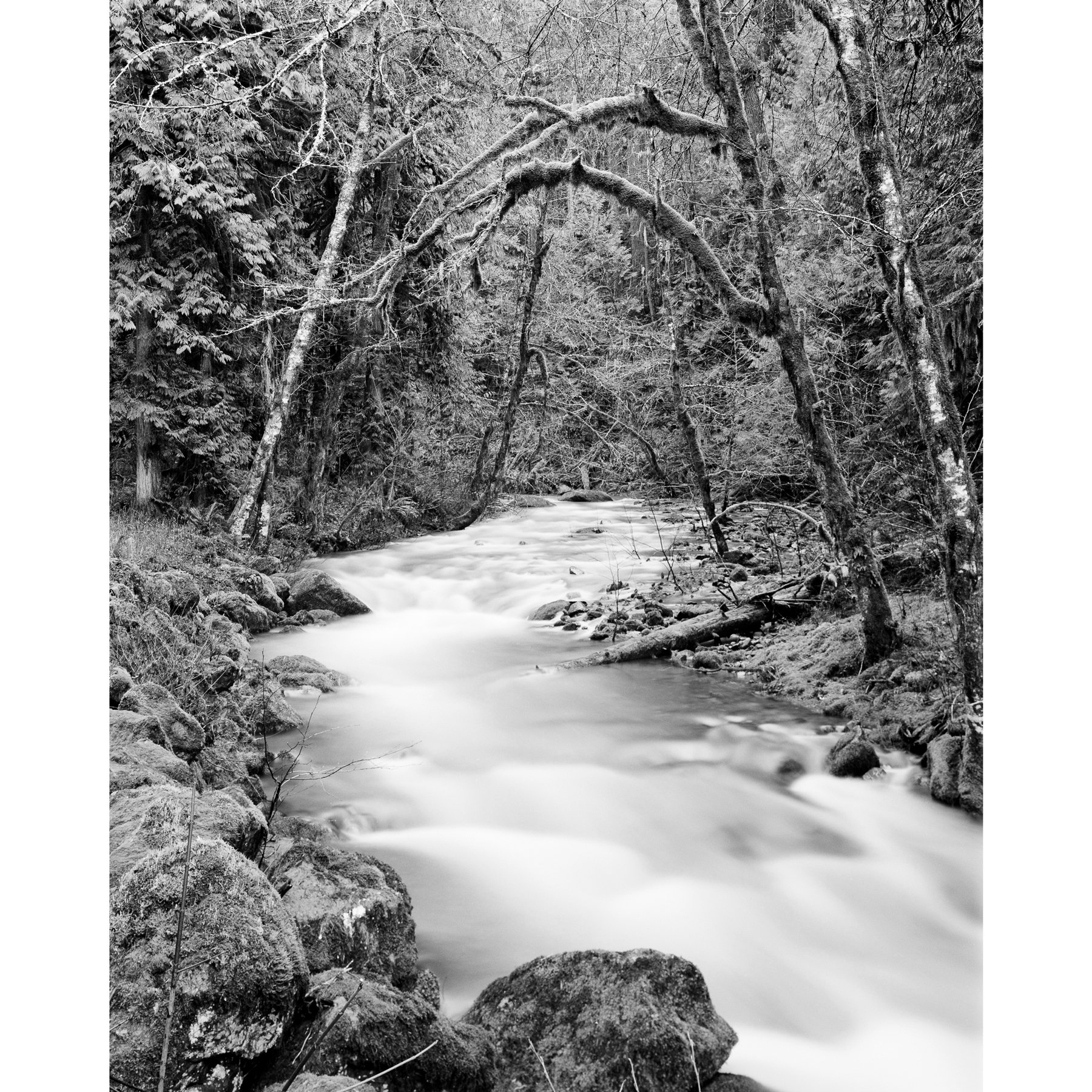 BearCreek-1.jpg