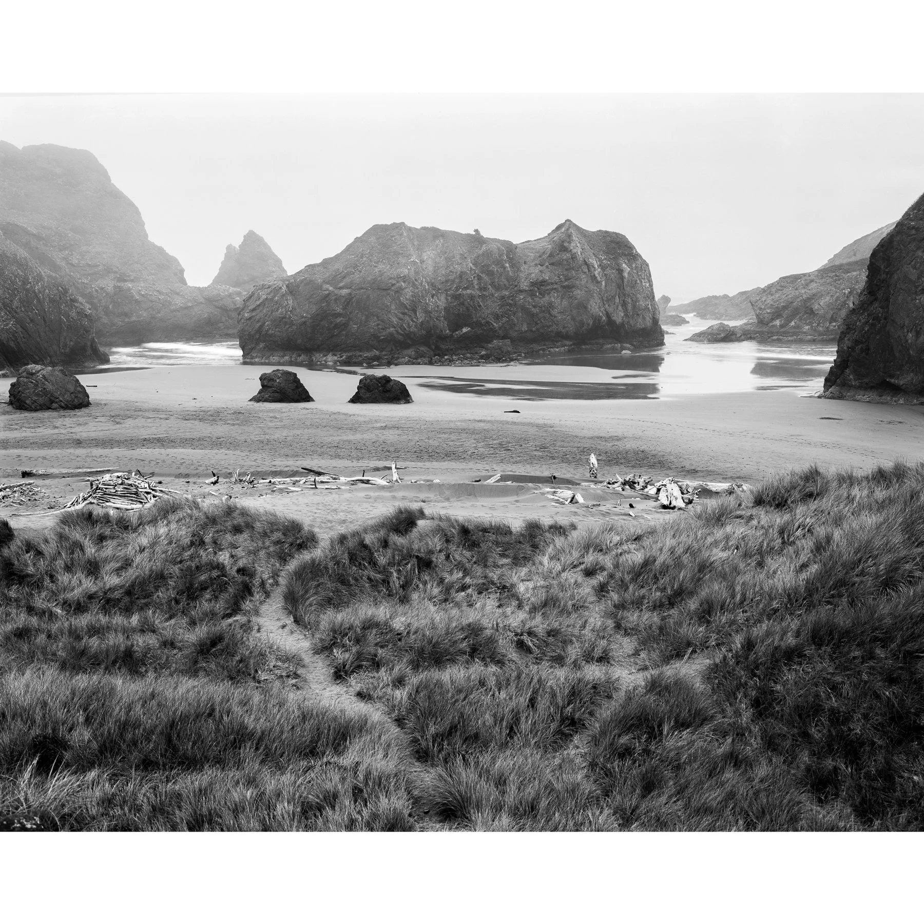 Meyers-Beach-Fog-positive.jpg