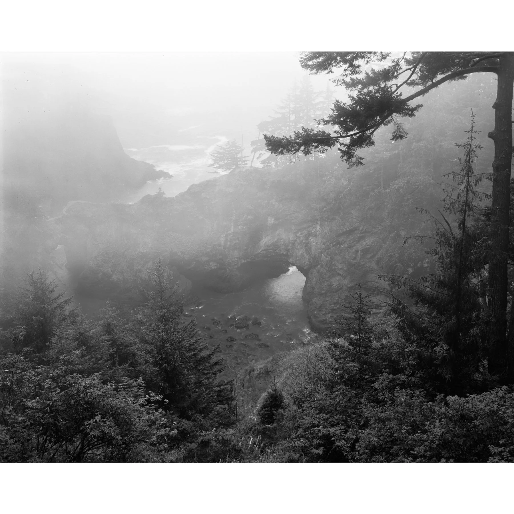 Natural-Bridges-Fog-positive-2.jpg
