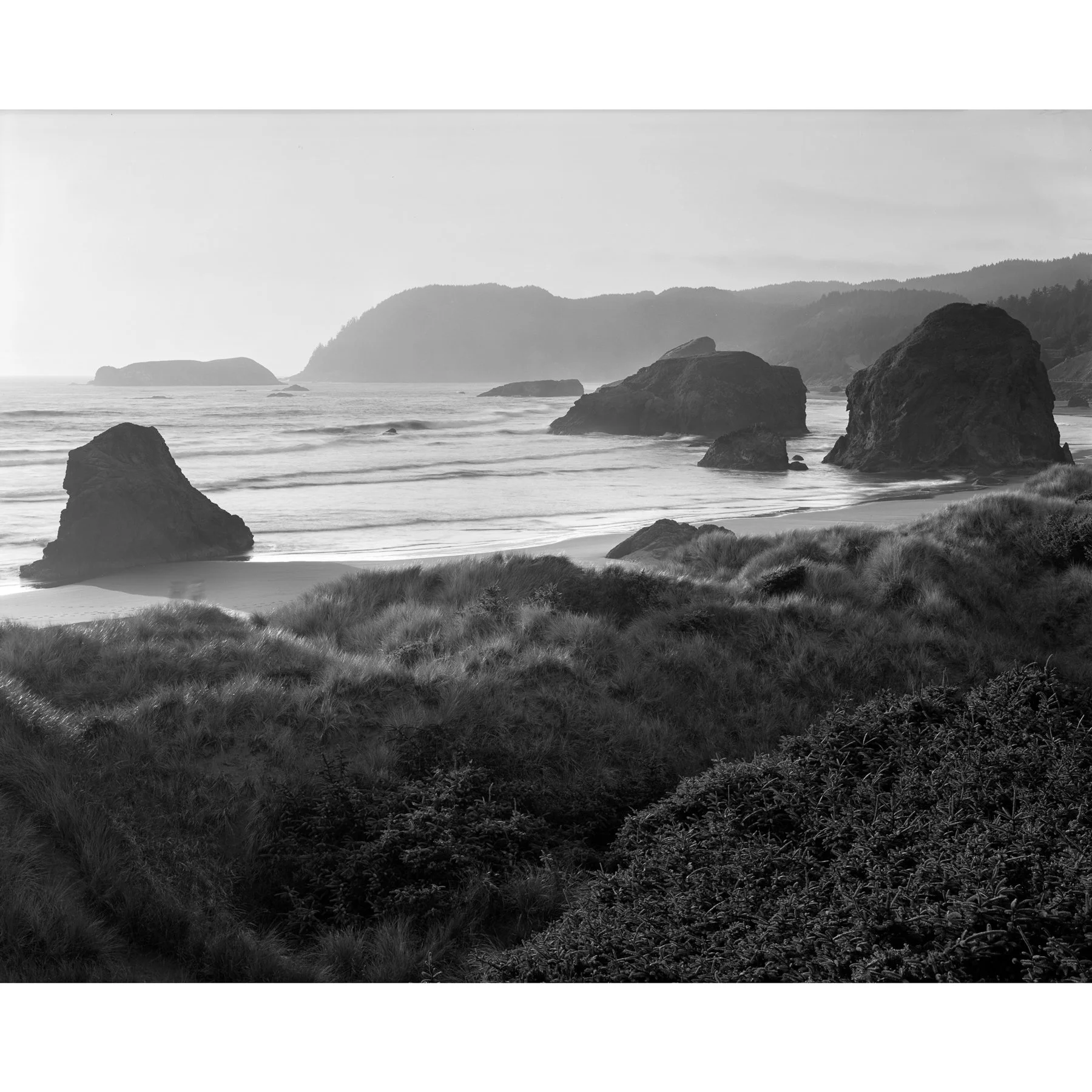 Meyers-Beach-Ilford-Delta-100-Golden-Hour-positive.jpg