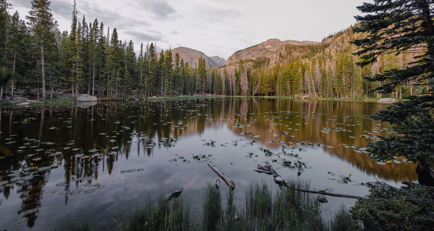 A peaceful mountain lake surrounded by dense pine trees and tall mountains in the distance, with water lilies on the surface and reflections of the trees and mountains.