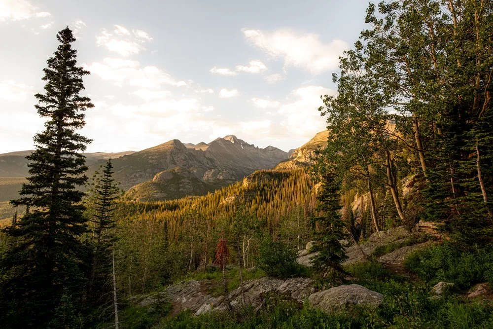A mountain landscape with tall evergreen trees, rocky terrain, and distant mountains under a partly cloudy sky during sunset or sunrise.