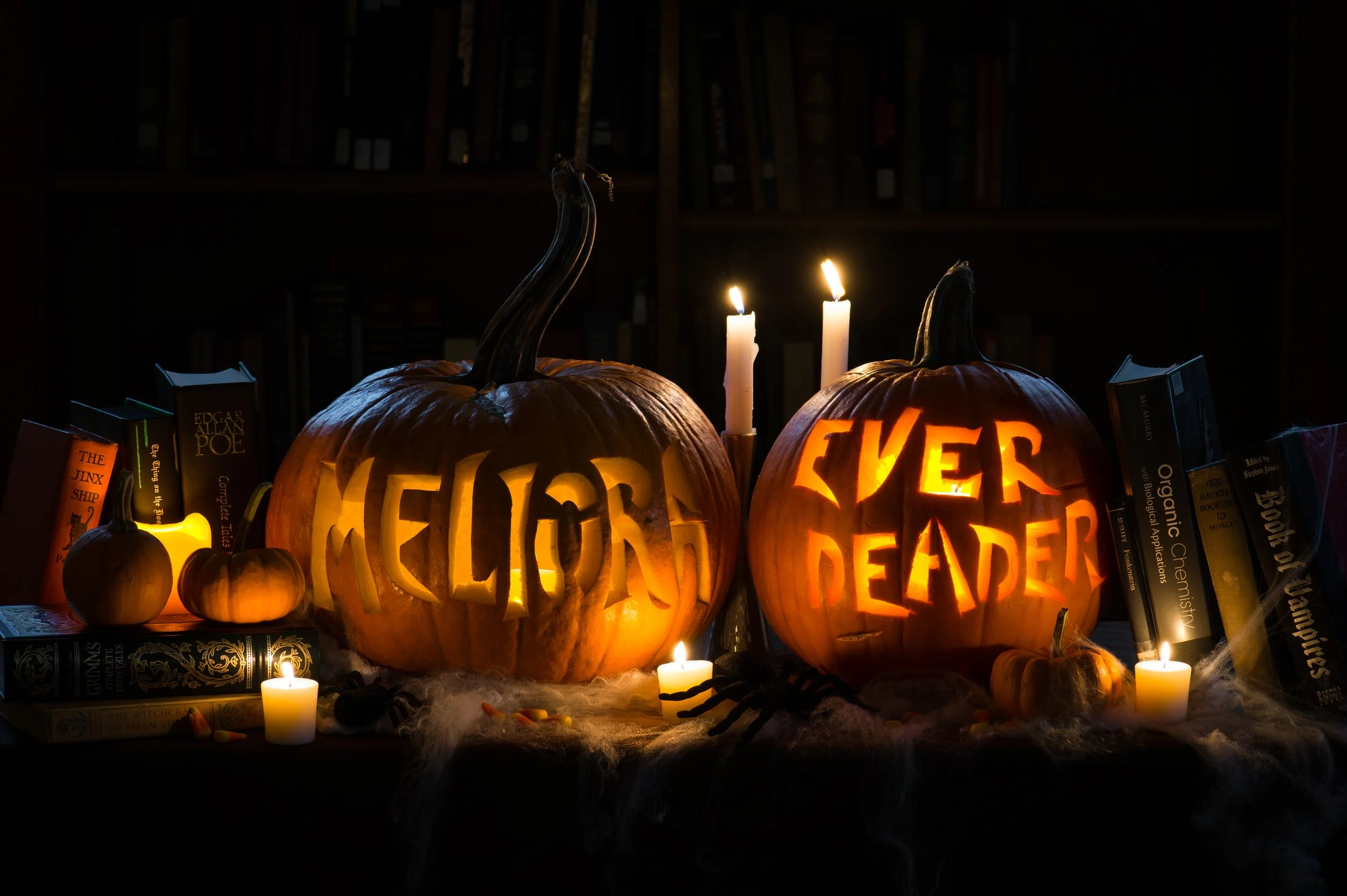 2014-10-28_Halloween_Meliora_020.jpg