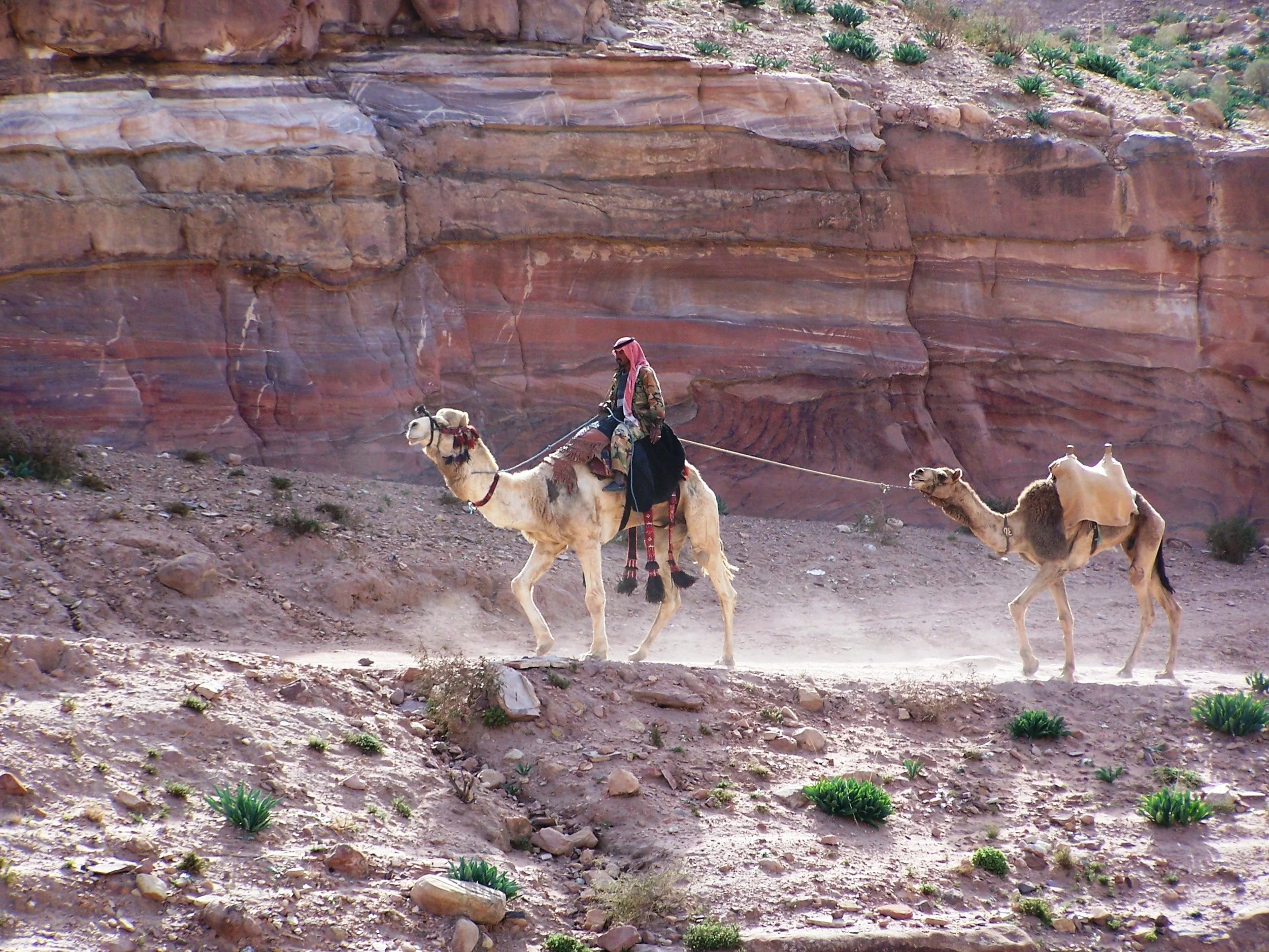 Bedouin Traveling through Petra
