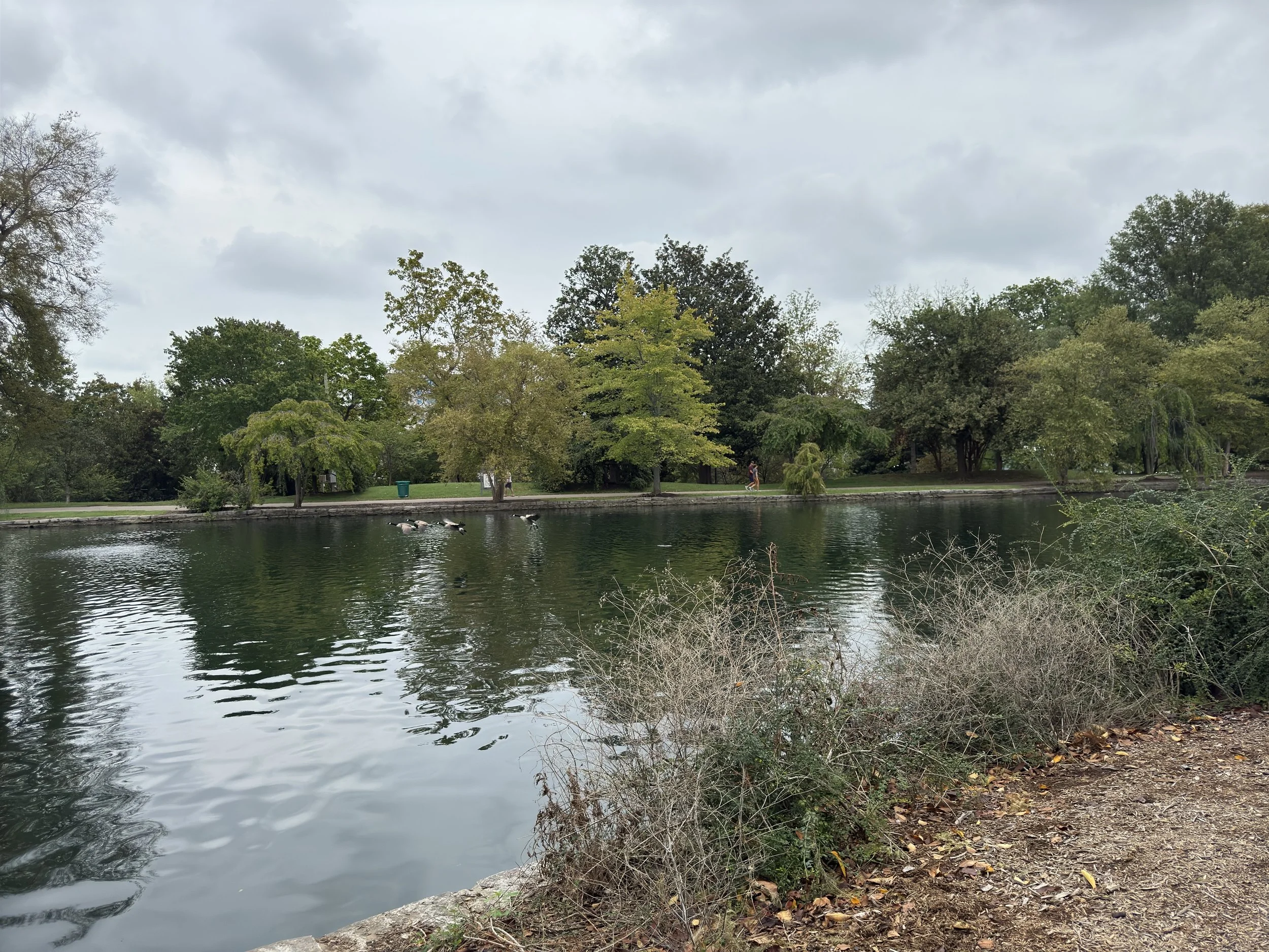 Park outside the building