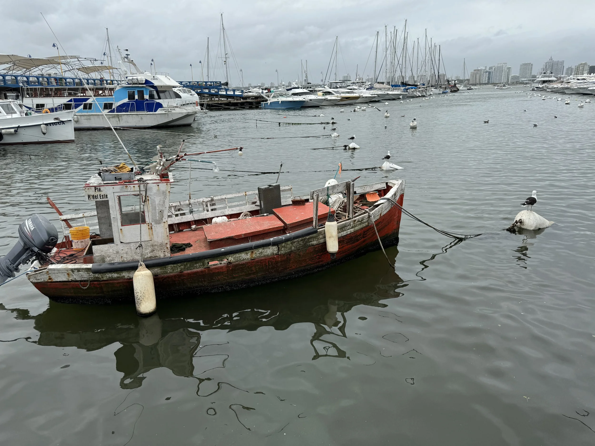 Punta del Este Harbor