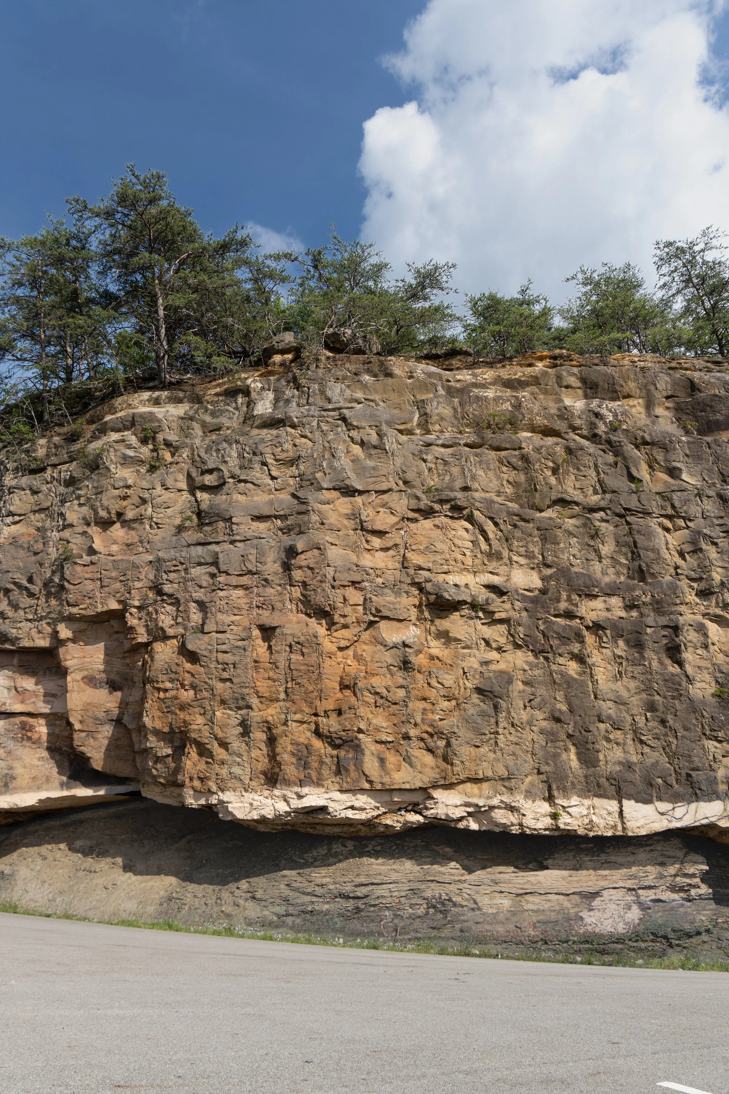 Cliff at Scenic Overlook, TN