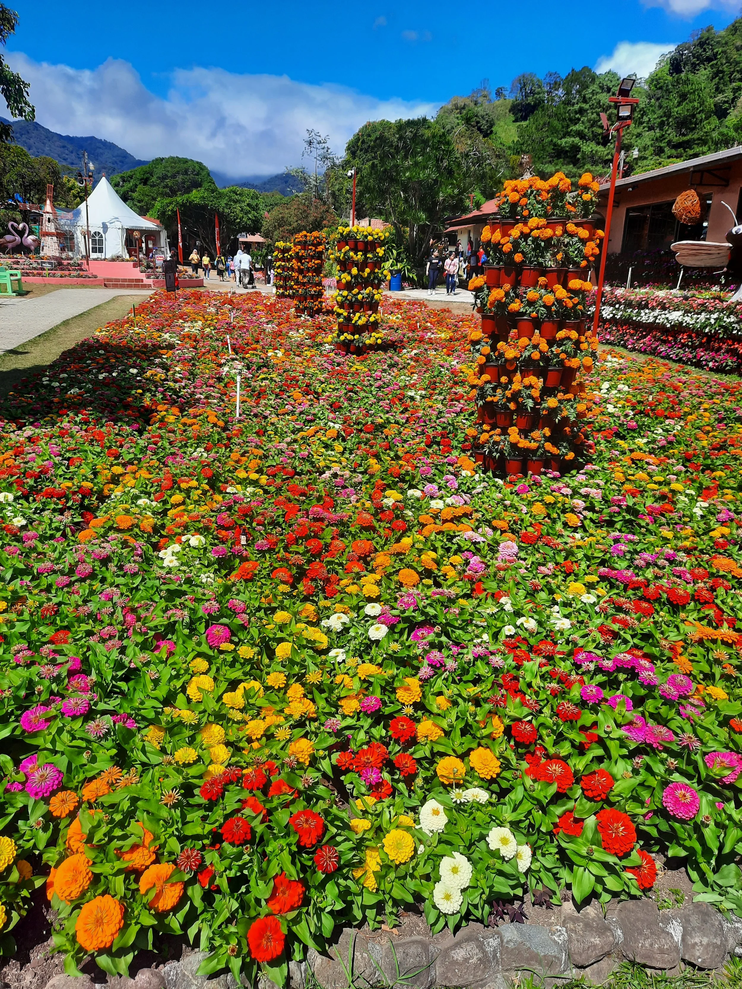 Boquete Flower Festival 