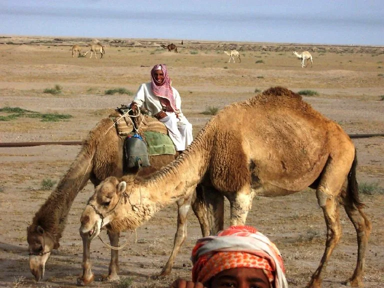Bedouins in Iraq (2005)