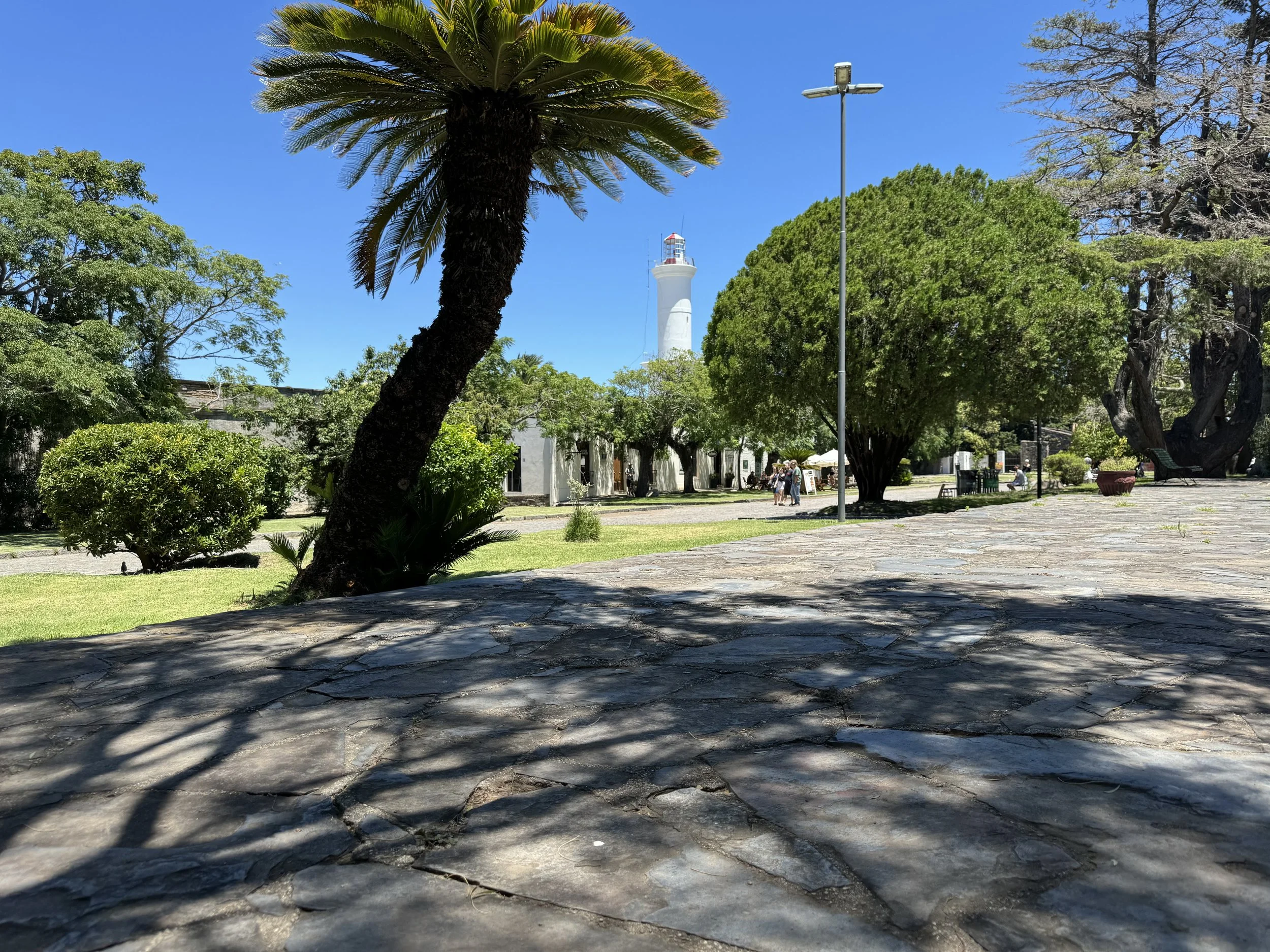 View through compound 