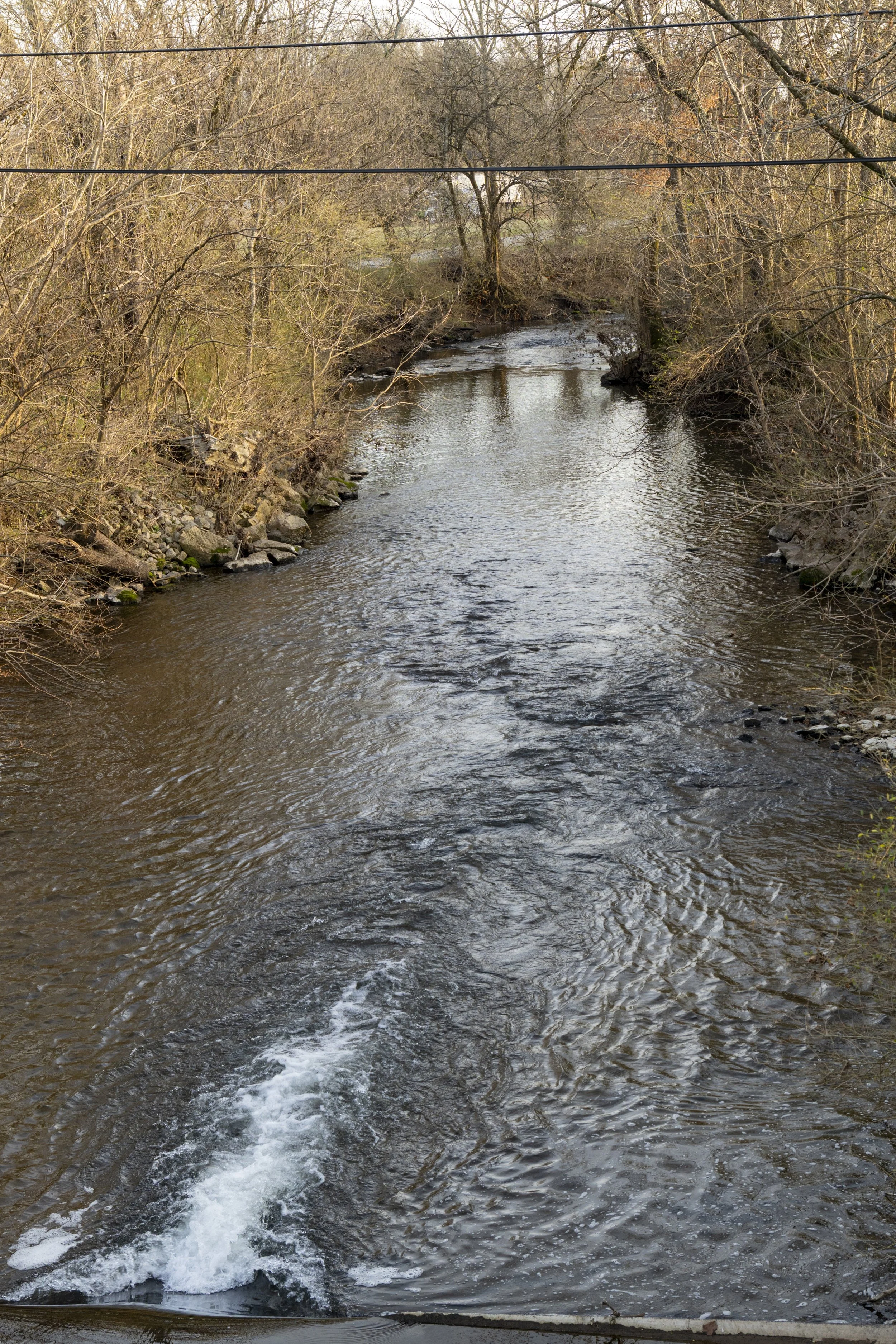 Creek in Spring Hill, TN