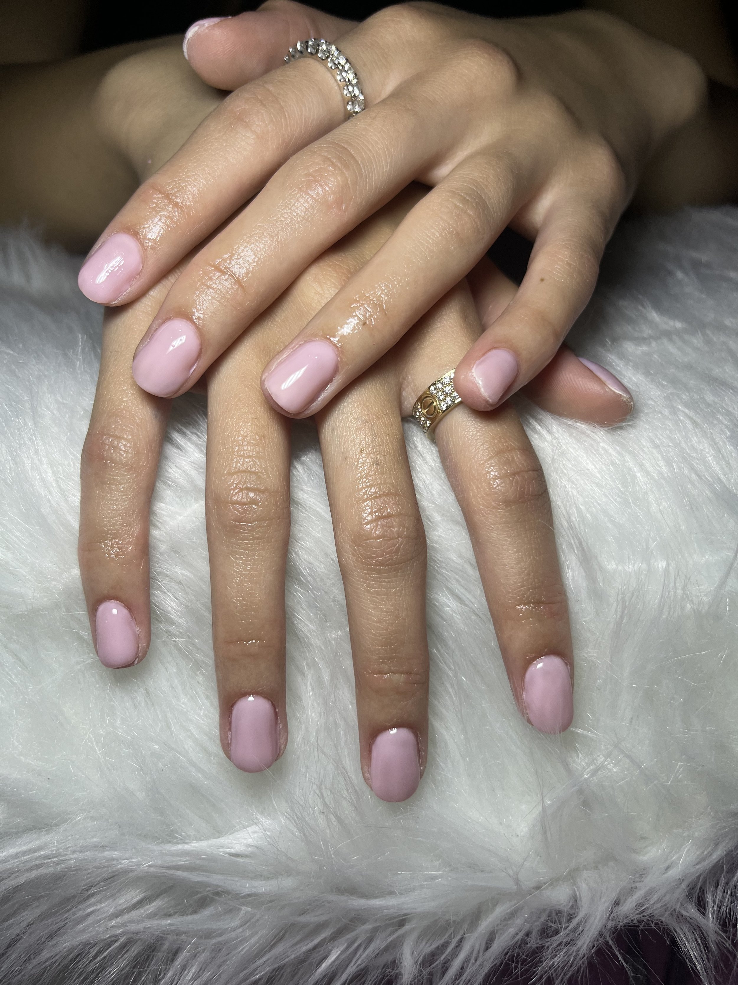 Bio gel done by private nail tech in winnetka