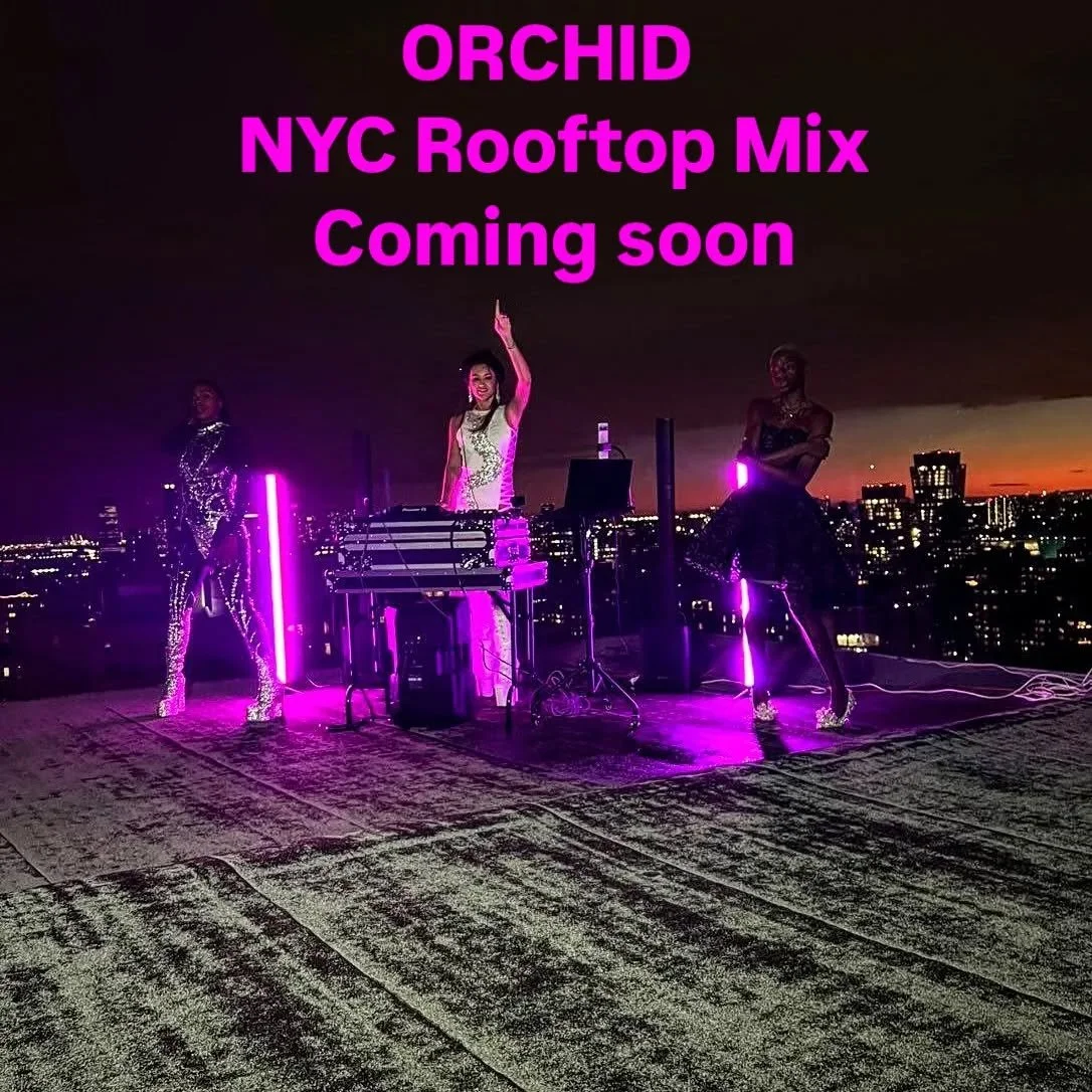 Had a great time recording my new mix tonight in New York during Fashion Week. Thank you @krstudiosav for the awesome production! #nyc #newyorkcity #fashion #style #rooftop #djorchid #djmix