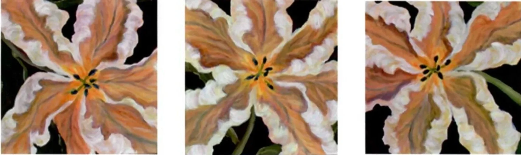 "Small White Tulips" (8 x 8)