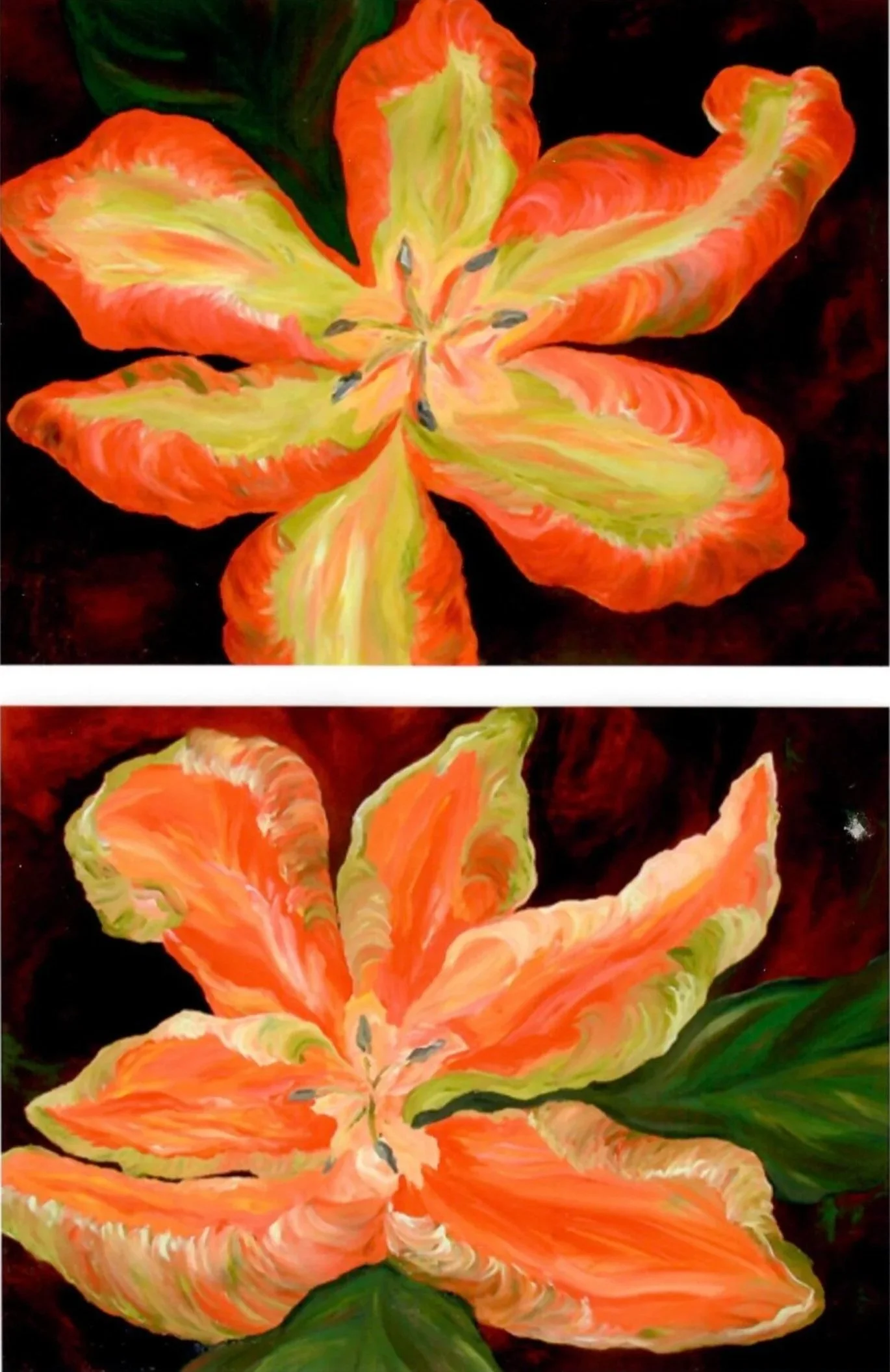 "Orange Tulips" (36 x 48)