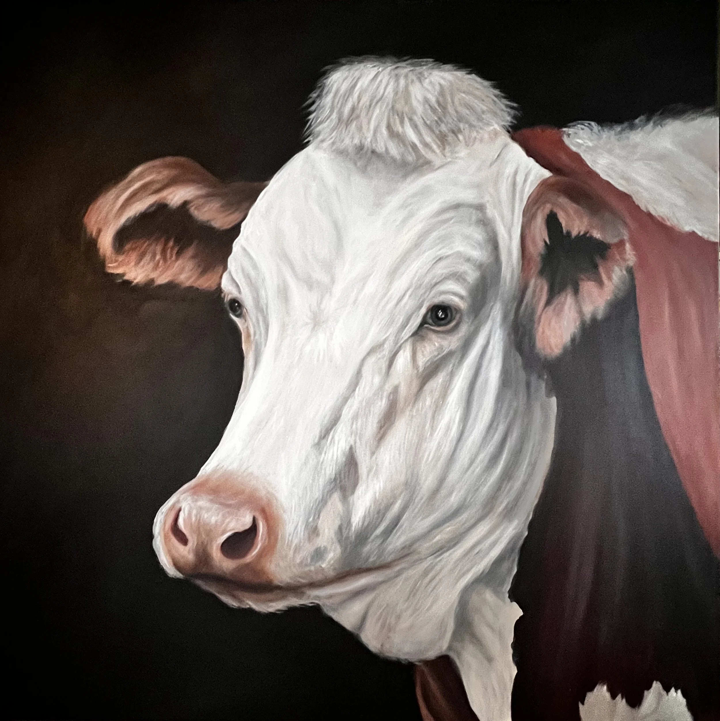 "Quiet Thoughts" (36 x 36)