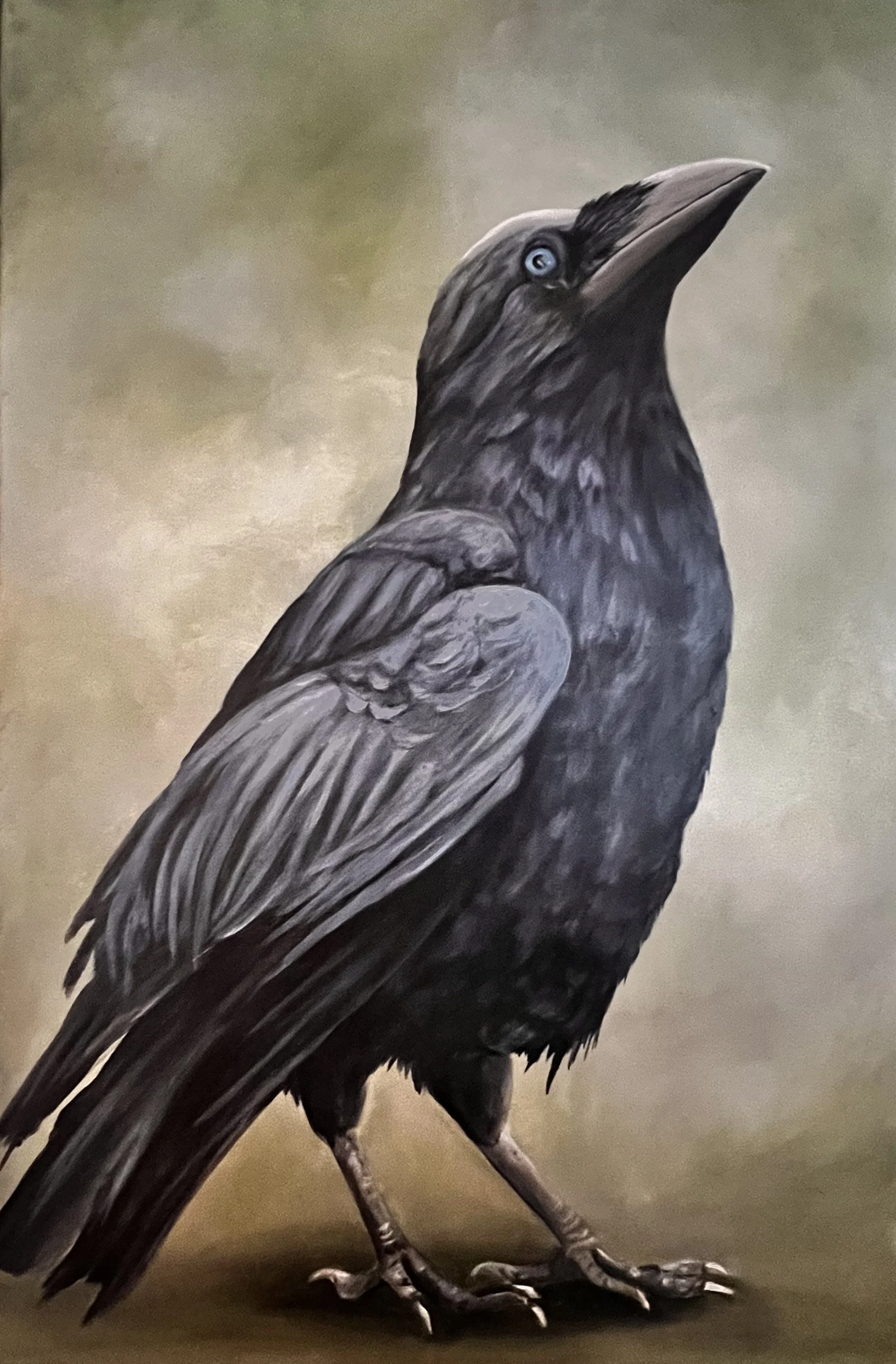 "Sky Wise" (36 x 24)