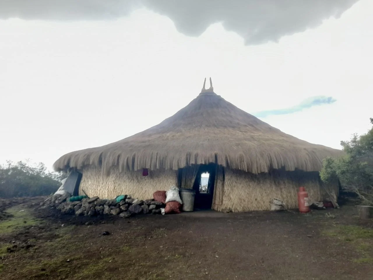 A thatched-roof hut with a conical shape, situated outdoors on a dirt surface with some scattered greenery around.
