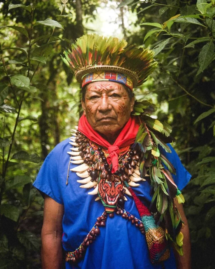An elder indigenous man dressed in traditional attire, including a colorful feathered headdress, blue shirt, red scarf, and elaborate beaded jewelry with animal teeth, standing amidst dense green foliage.