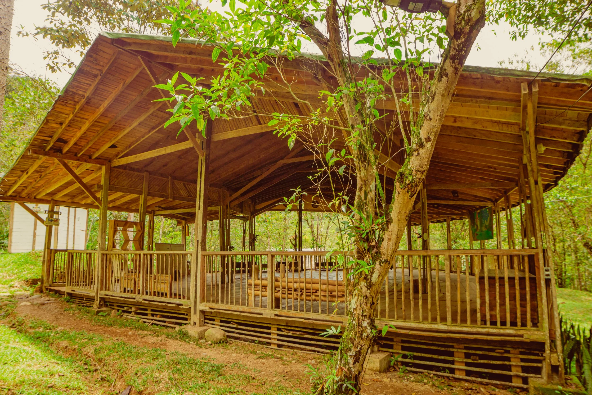 A wooden pavilion with an elevated platform, surrounded by lush green trees and grass.