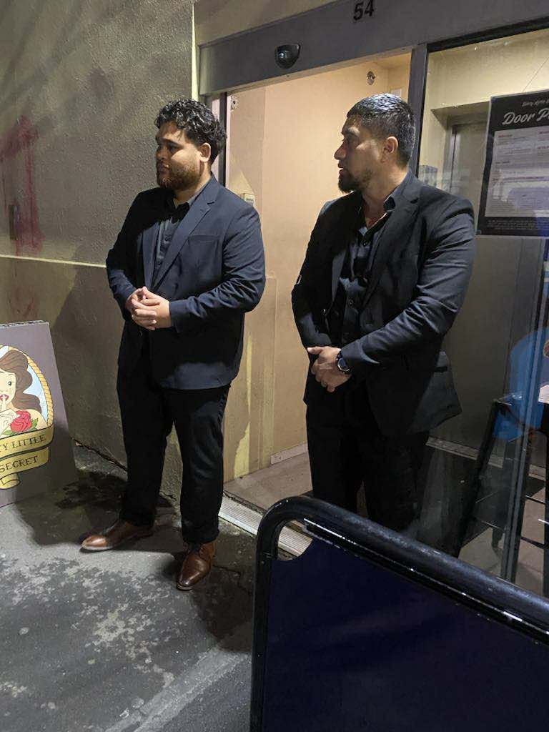 Private & Corporate Security