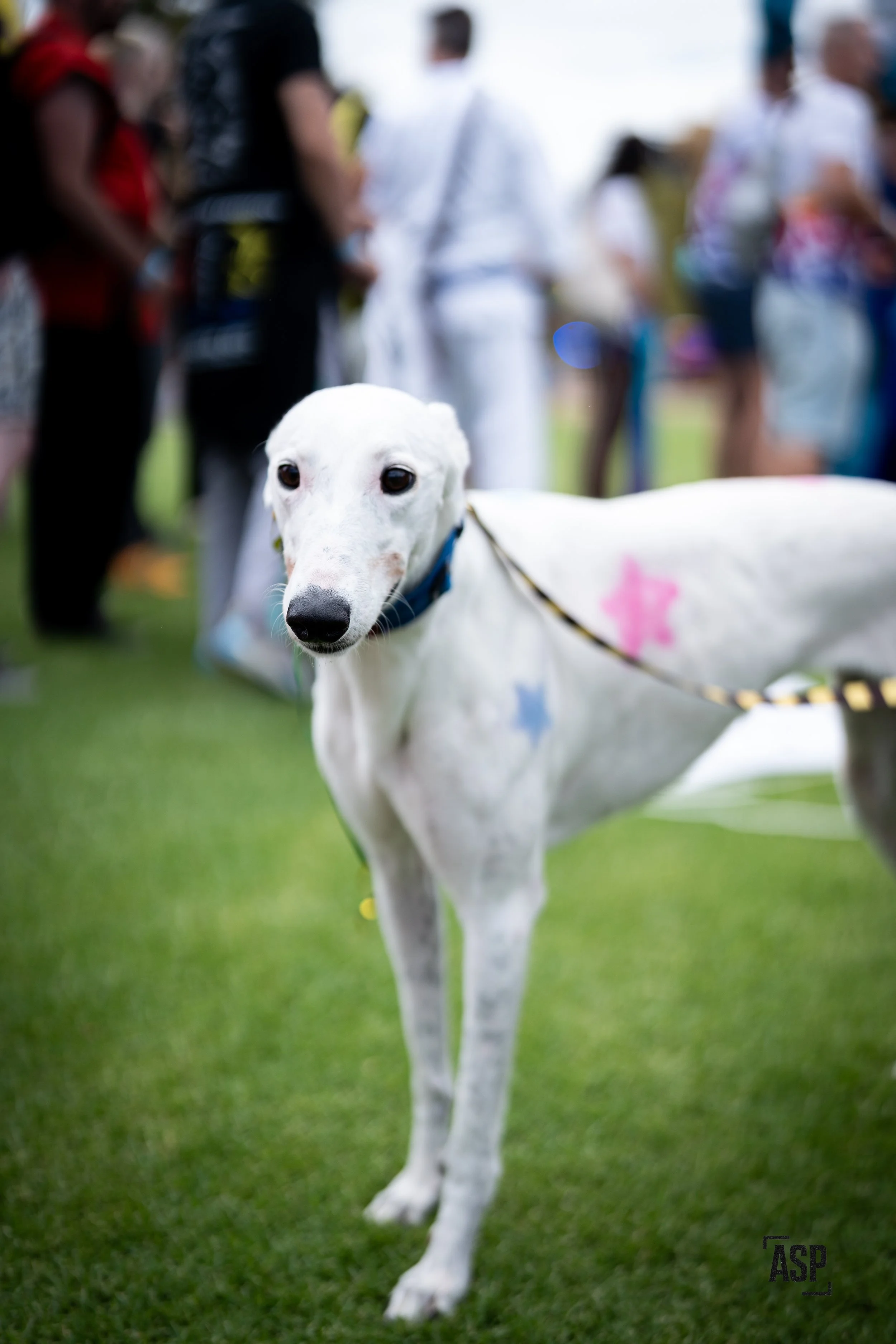 DSC06489.jpg