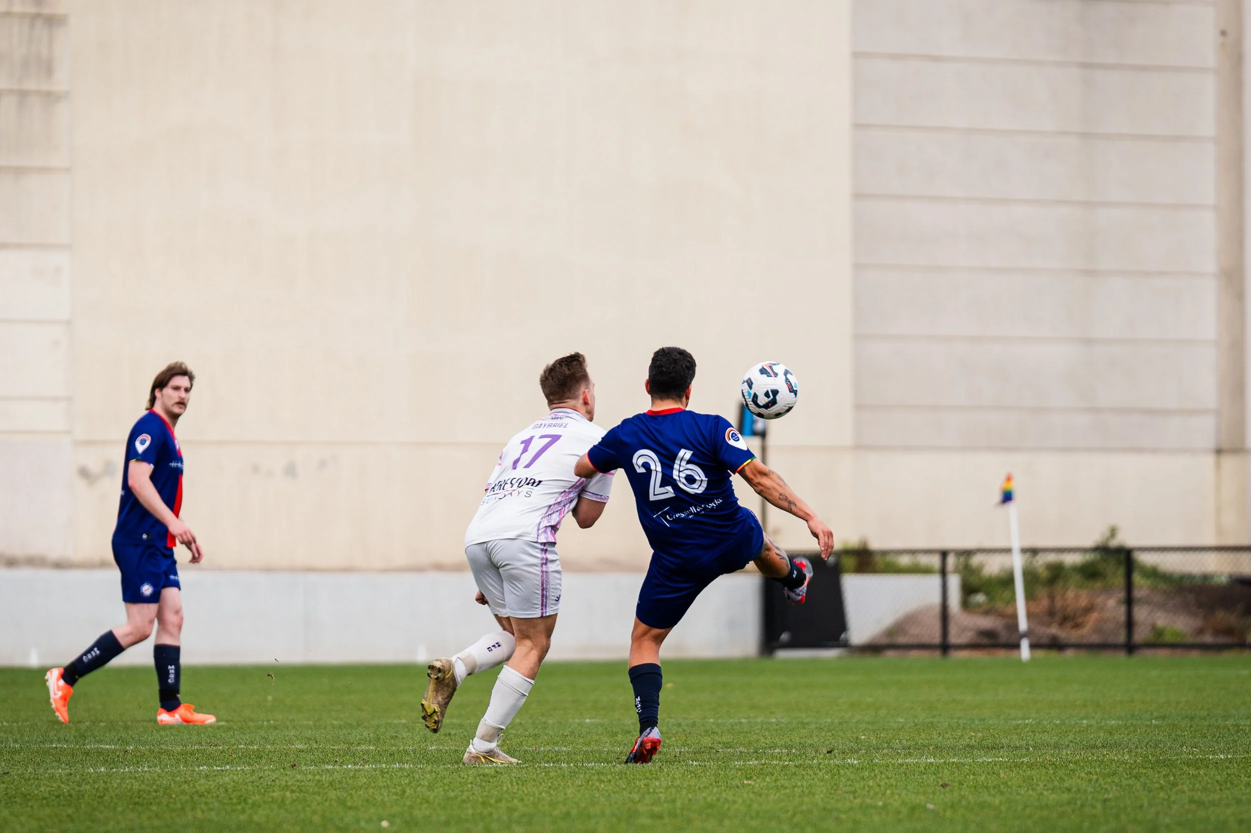 Two soccer players in white and blue jerseys competing for the ball during a game, with a third player in a blue jersey observing in the background on a green field.