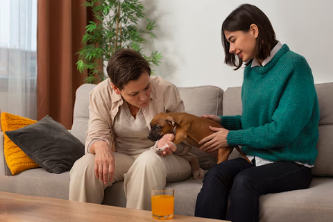 5 Essential Questions to Ask Before Hiring a Pet Sitter (And How to Find the Best One!)