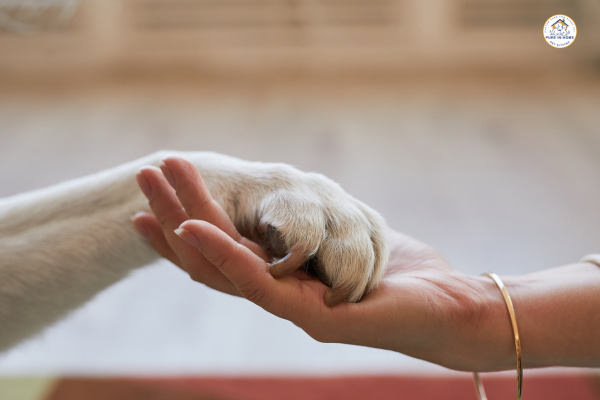 Dog Hand