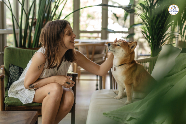 If You Live in Denver and Love Your Dog… You Need to See This!
