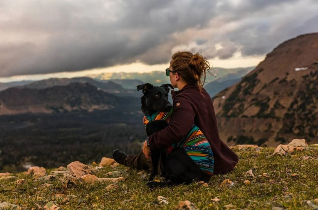 Pet Boarding vs. In-Home Pet Care: Which Is Right for You?
