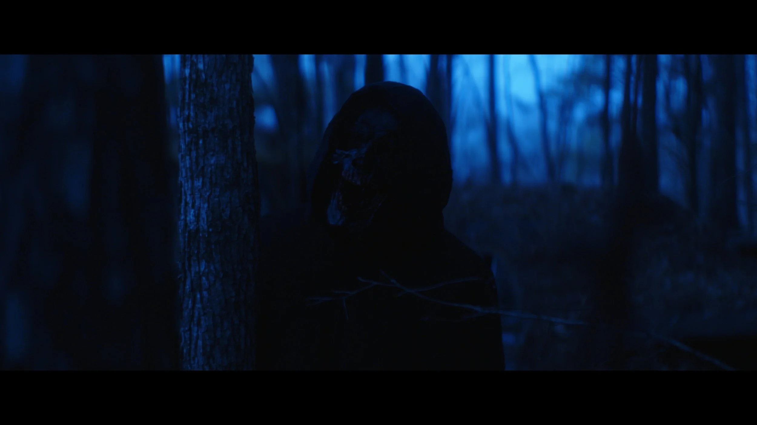 Still 2025-03-10 215557_1.10.1.jpg