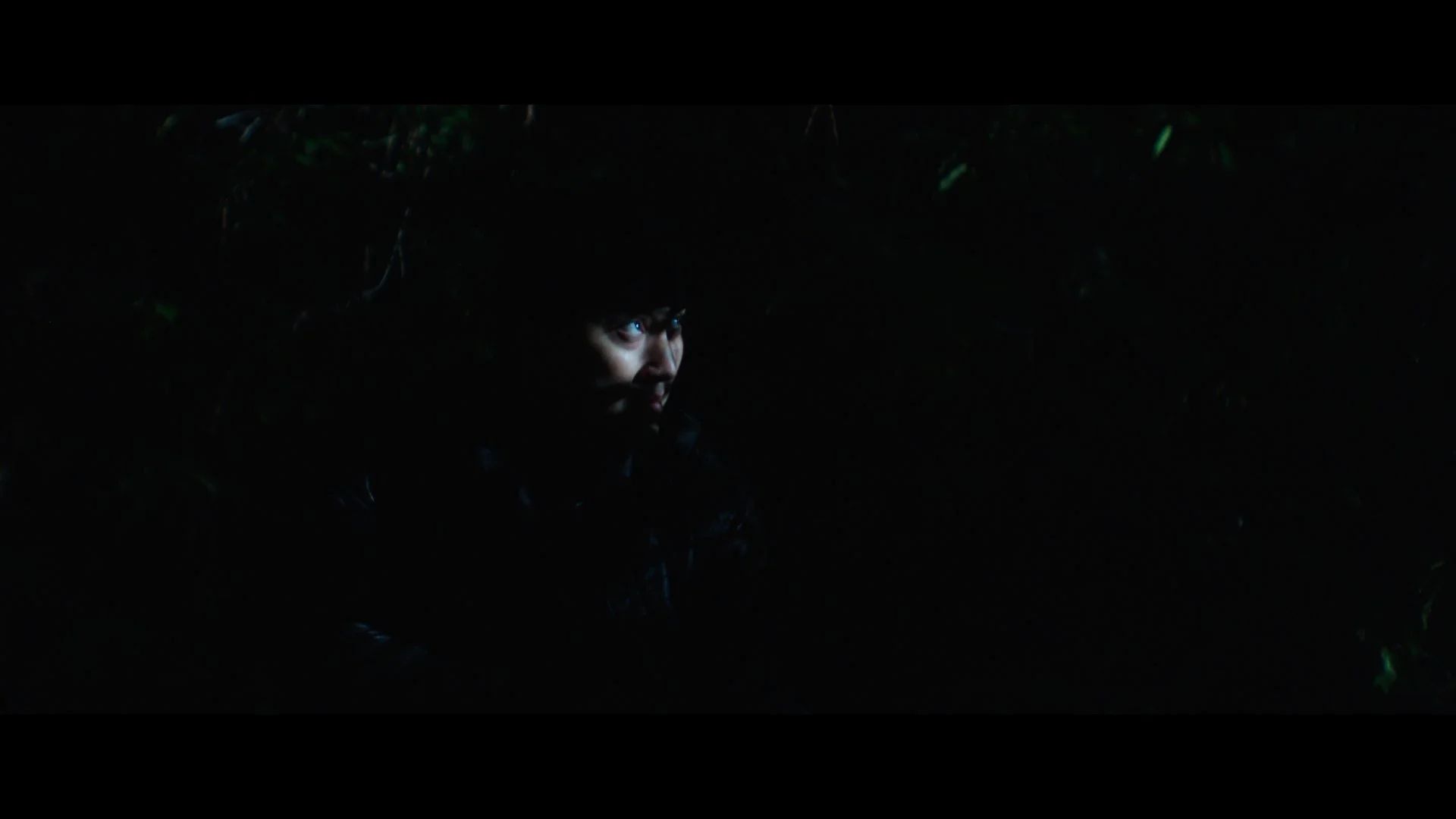 Still 2024-12-07 200210_1.2.1.jpg