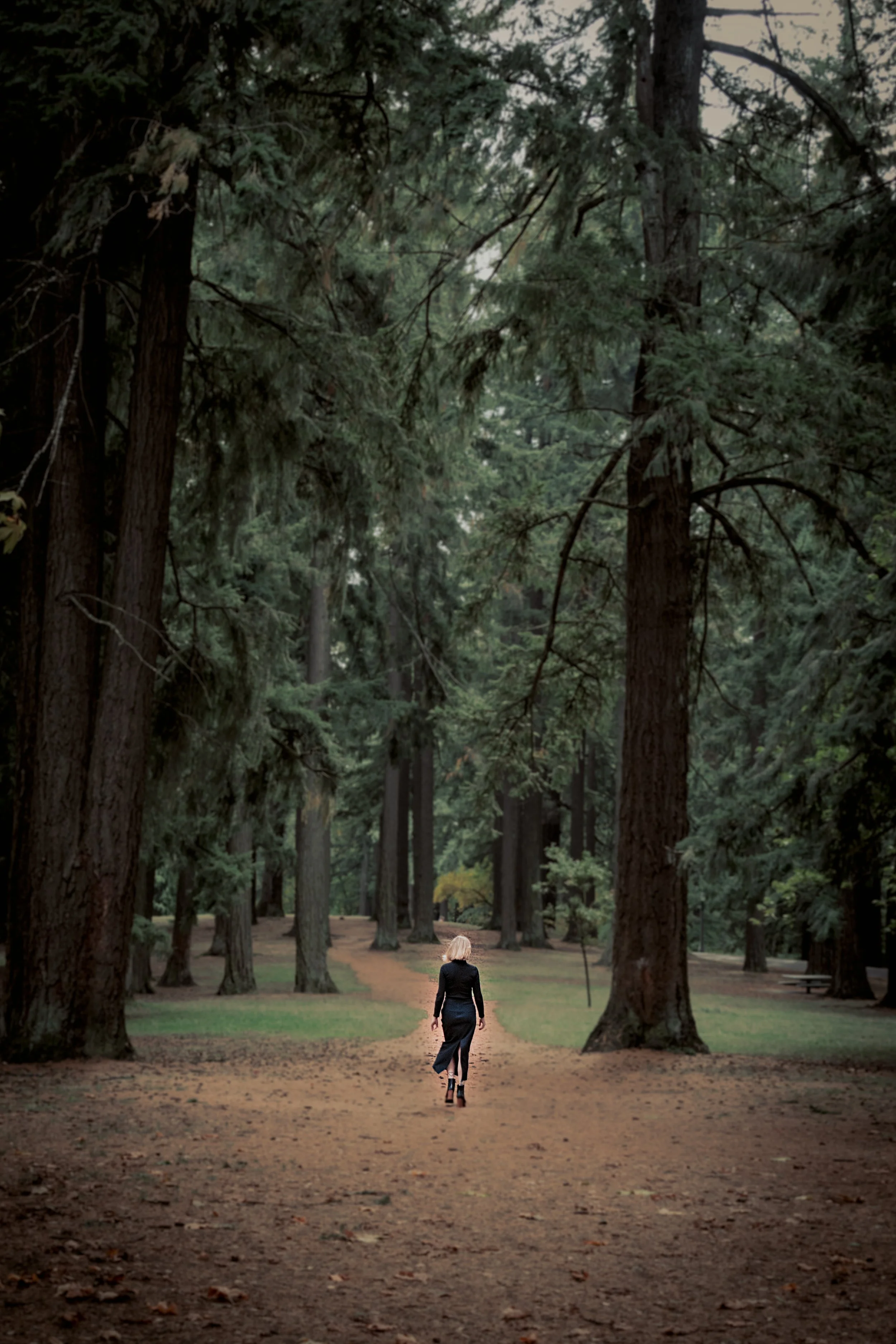 A woman walking alone on a dirt trail through a forest of tall trees.