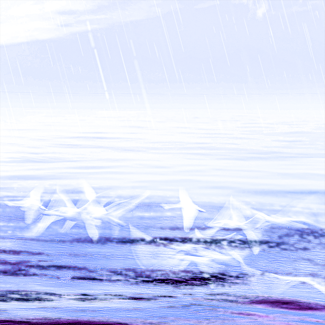 Front redesign for the album ''The Sword and the Soaring" by Navy Blue