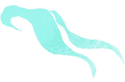 A stylized illustration of a swimming pool with a lounge area and poolside furniture.