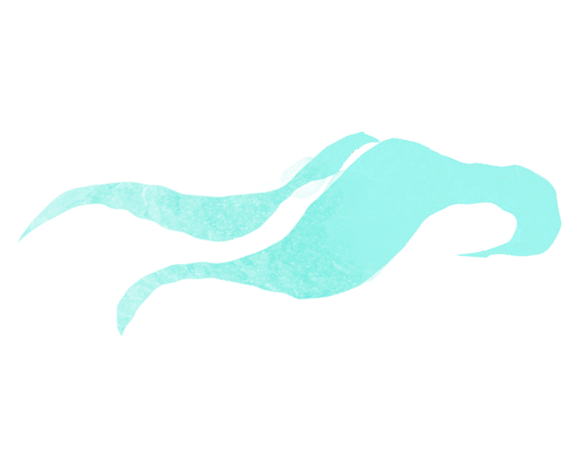 Light blue, abstract, flowing ribbon-like shapes with a black background.