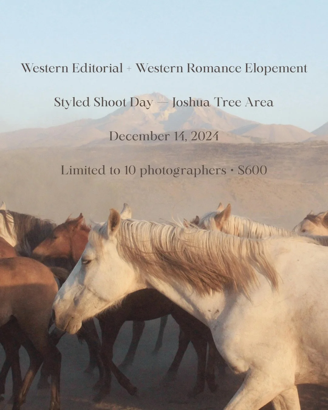 Not me time-traveling 😭🤠 Correct date: December 14, 2025!

WESTERN LOVERS 🤎
I&rsquo;m hosting a fully styled shoot day in Joshua Tree and opening 10 photographer spots.

December 14 &bull; 2&ndash;4:30 PM &bull; $600

Two couples:
Shoot 1: Western