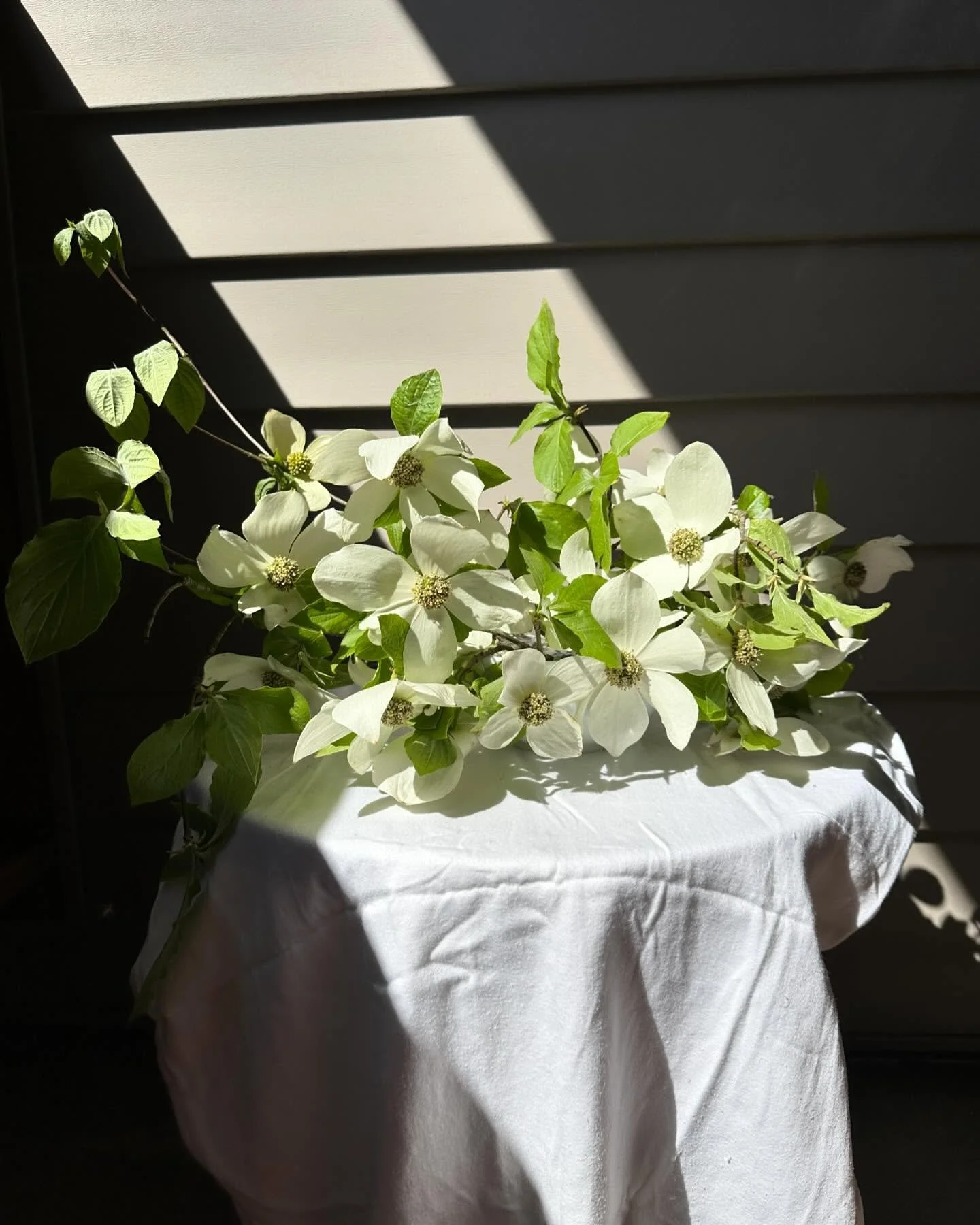 A weekend in Portland 🤍