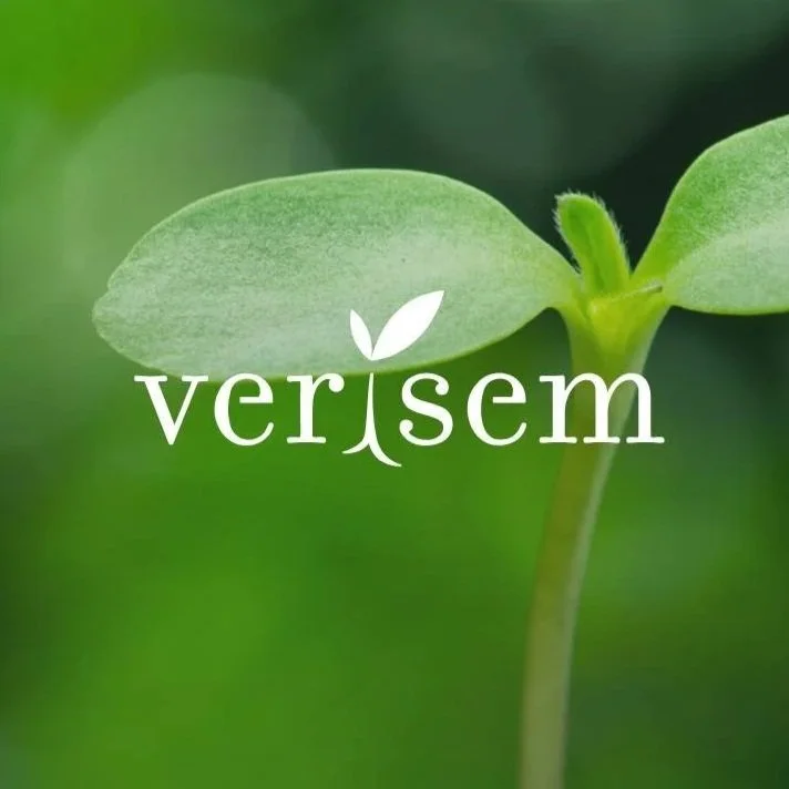 Verisem