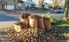 Yard Debris &amp; Bulk Trash Removal in Winter Haven and Davenport