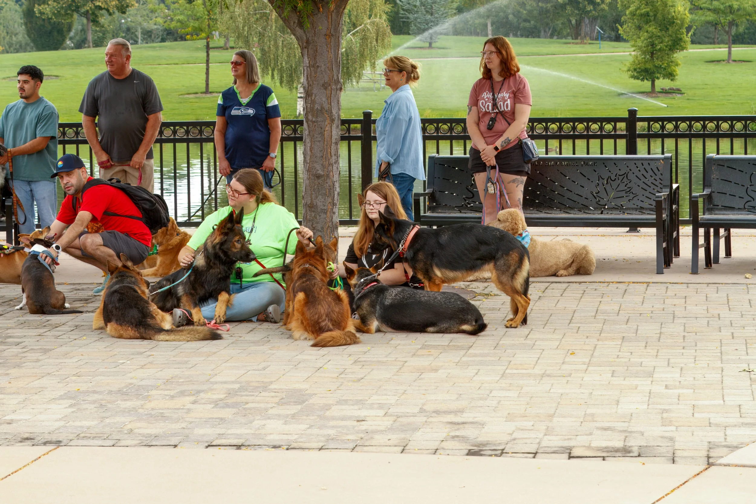 Why Doesn’t My Dog Understand What I’m Asking?