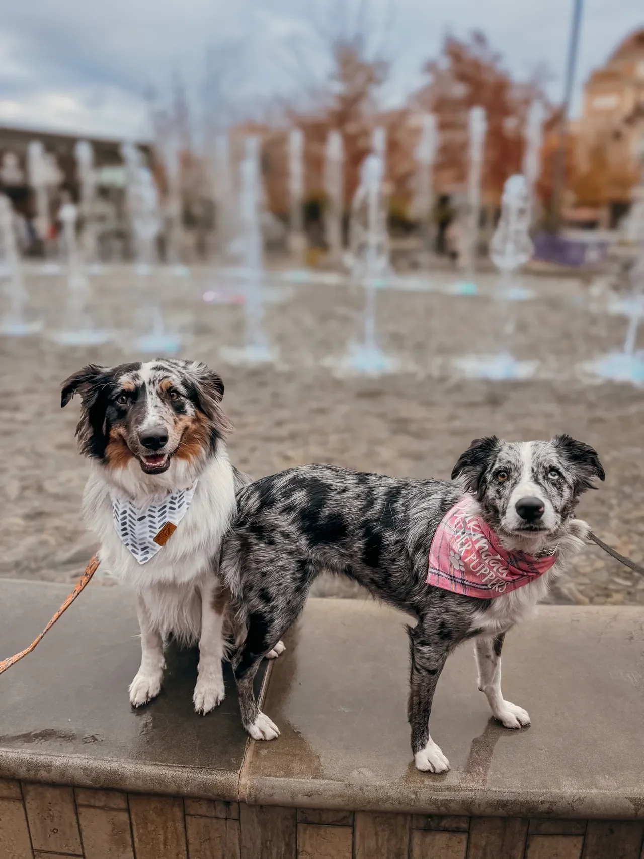 Want Reliable Obedience? Start With Trust, Not Control