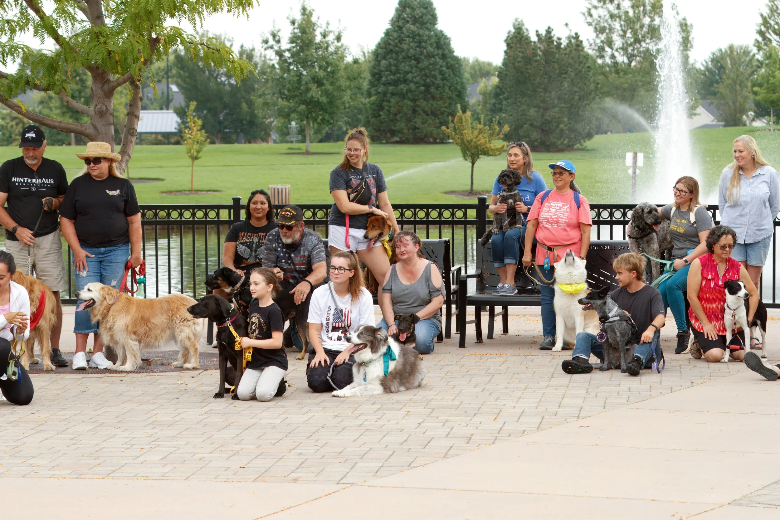 The Importance of Consistency in Dog Training